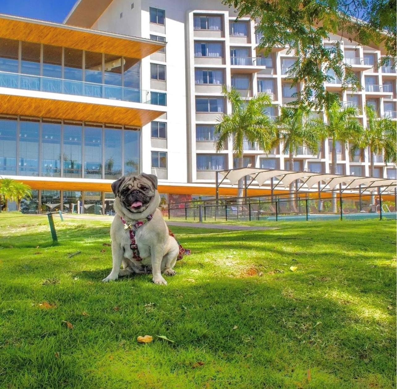 Novotel Itu Terras De Sao Jose Golf & Resort Exterior foto